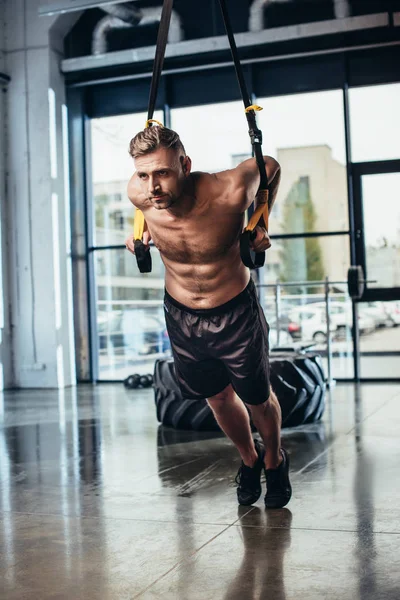 Handsome Shirtless Sweaty Sportsman Training Suspension Straps Gym — Free Stock Photo