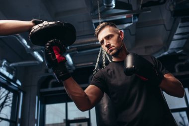 yakışıklı boksör eğitmeni spor salonunda egzersiz düşük açılı görünüş