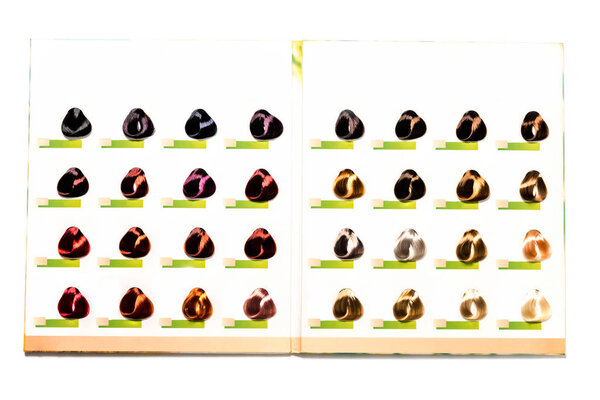 вид сверху палитры цвета волос, выделенный на белом
