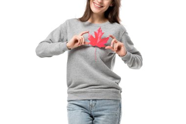partial view of woman in casual clothes holding maple leaf isolated on white clipart