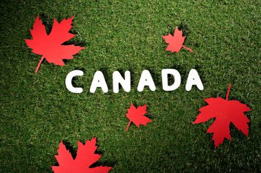 akçaağaç ile 'Kanada' kelimenin üstten görünüm yeşil çim zemin üzerine bırakır