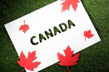 white board with cut out word 'canada' on green grass background with maple leaves  clipart