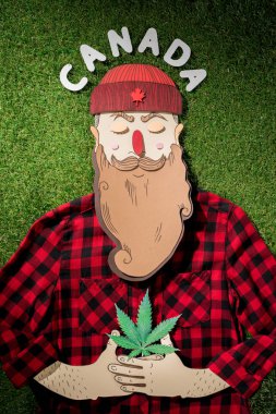 cardboard man in plaid shirt holding cannabis with word 'Canada' on green grass background, marijuana legalization concept clipart
