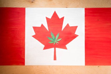 cannabis leaf on canadian flag, marijuana legalization concept clipart