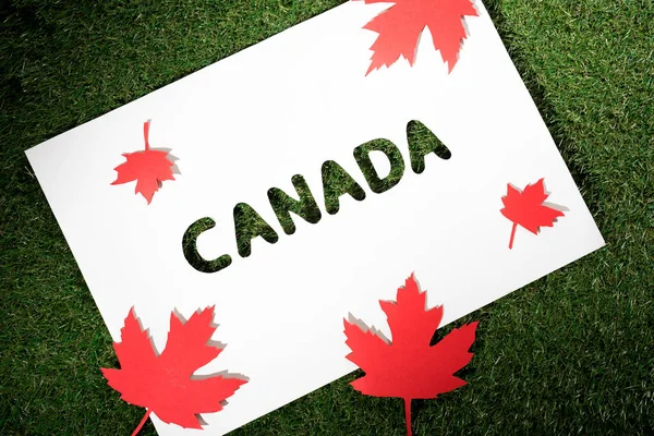 ホワイト ボードは カナダ 緑の草の背景とメープルの葉をカット — ストック写真