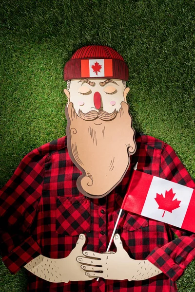 格子縞のシャツと緑の草の背景にカナダの旗を保持しているカエデの葉で帽子のダン ボール男 — ストック写真