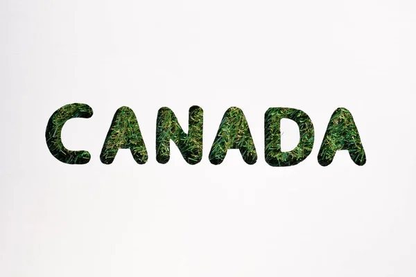 白い背景の上の単語 カナダ カット ボード — ストック写真