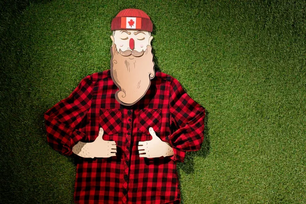 Cardboard Man Plaid Shirt Hat Showing Thumbs Signs Green Grass — Stock Photo, Image