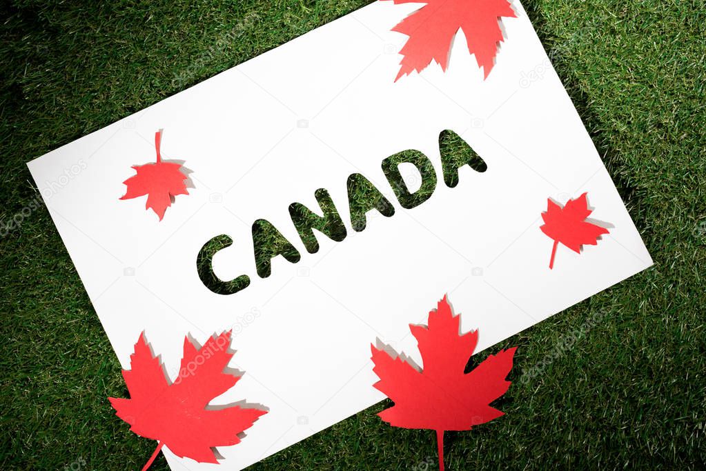 white board with cut out word 'canada' on green grass background with maple leaves 