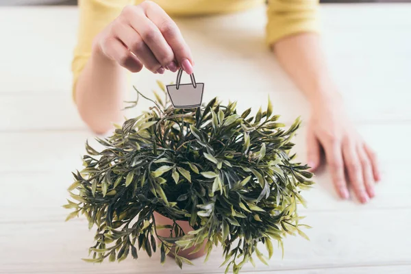 Vista Recortada Mujer Sosteniendo Pequeña Bolsa Papel Cerca Planta — Foto de Stock