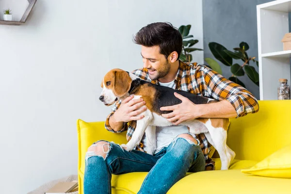 Pohledný Muž Psem Beagle Gauči Doma — Stock fotografie