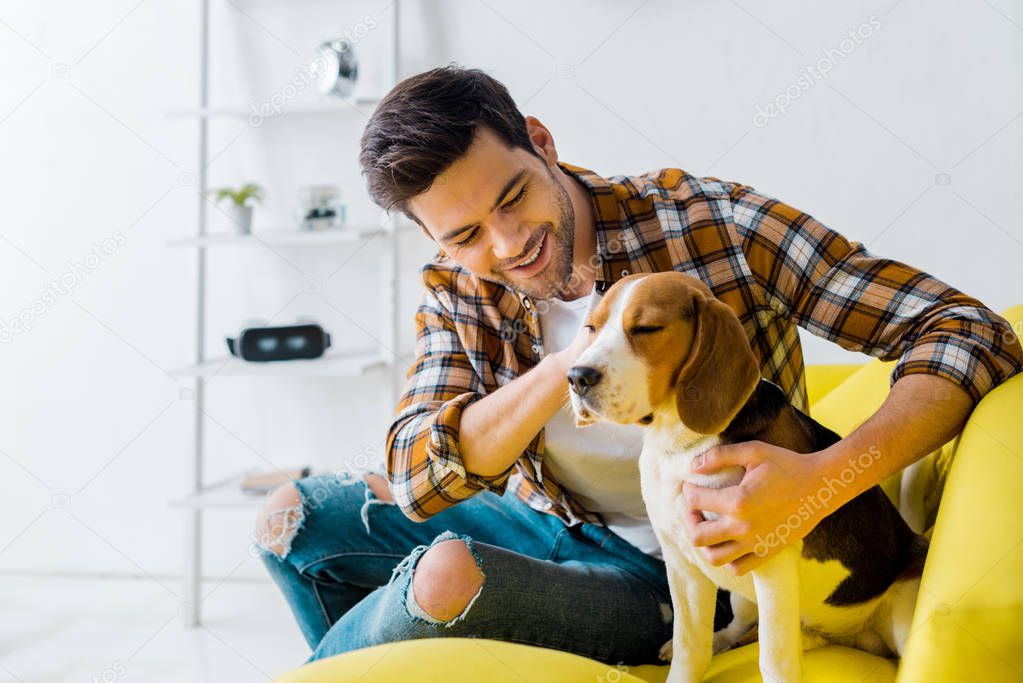 happy man spending time with beagle dog at home