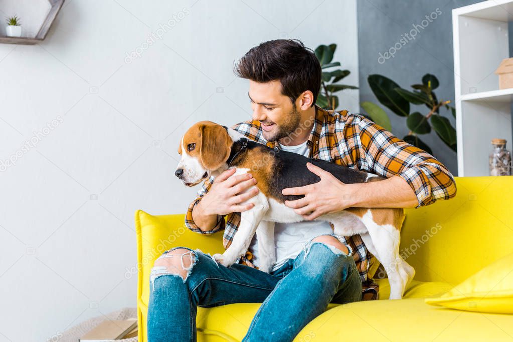 handsome man with beagle dog on sofa at home