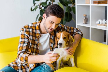yakışıklı adam akıllı telefon kullanırken köpek ile kanepede oturan kareli gömlekli