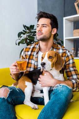 çay tutarak ve beagle köpek ile kanepede oturan rüya gibi yakışıklı 