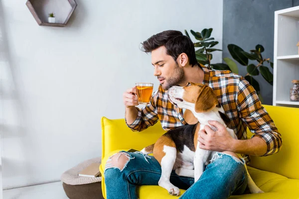 お茶を飲むと かわいい犬とソファの上に座っているカジュアルな男 — ストック写真