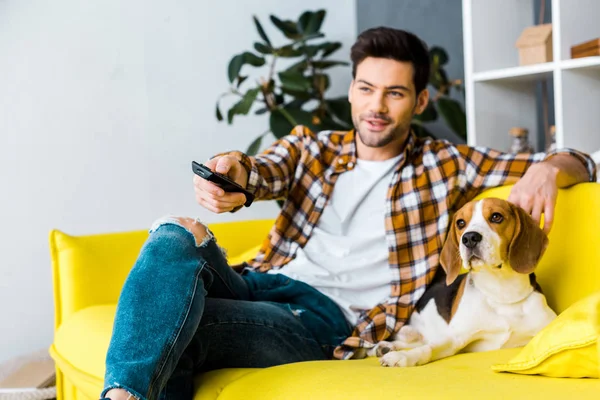 テレビを見ていると 犬が付いているソファーの上に座ってリモコンで笑みを浮かべて男 — ストック写真