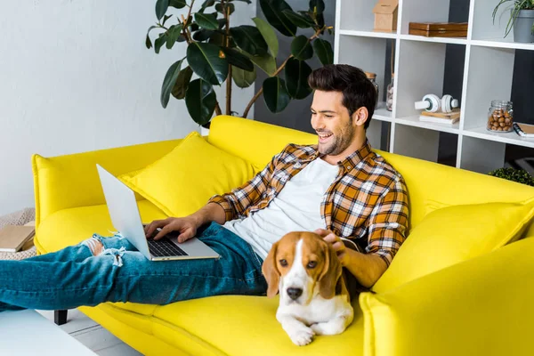 ビーグル犬が付いているソファーでノート パソコンを使用してハンサムな笑い男 — ストック写真