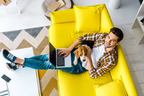 Vista Aérea Homem Sorridente Usando Laptop Sofá Com Cão Beagle — Fotografia de Stock