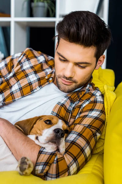 犬が付いているソファーで休んで市松模様のシャツでハンサムな男 — ストック写真