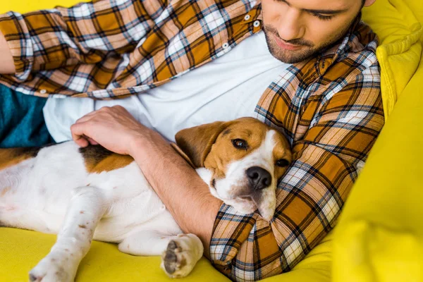 ビーグル犬が付いているソファーでリラックスした市松模様のシャツでハンサムな男 — ストック写真