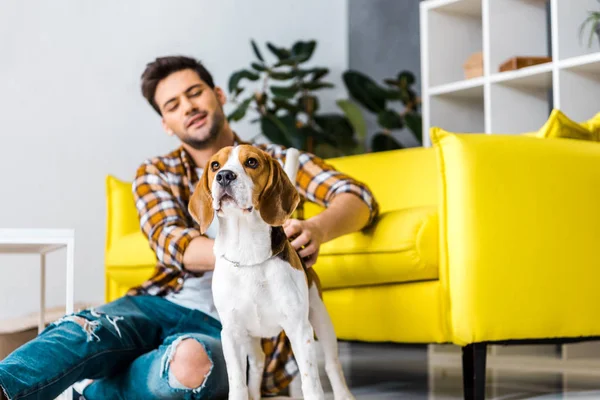 Pria Santai Dengan Anjing Beagle Duduk Lantai Dekat Sofa Rumah — Stok Foto