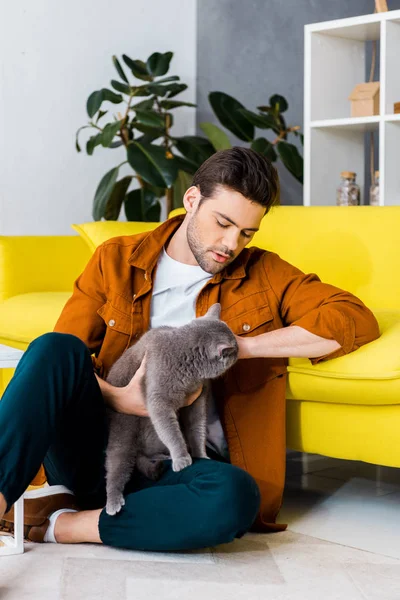 ブリティッシュショートヘアの猫と床に座ってハンサムな男 — ストック写真