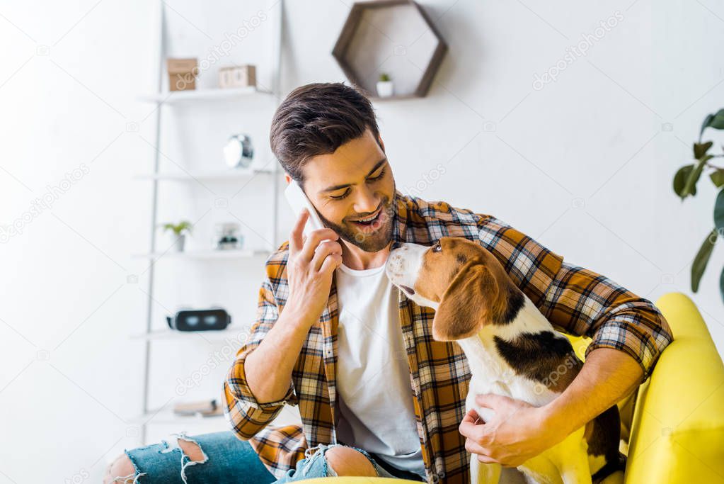 handsome smiling man talking on smartphone and looking at dog
