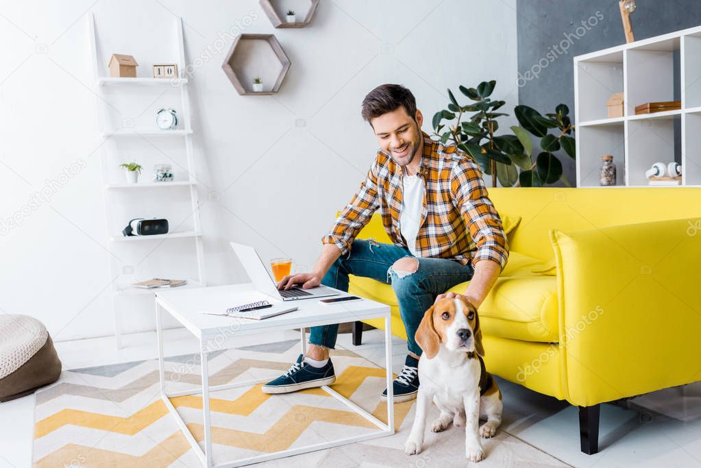 smiling teleworker using laptop in living room with beagle dog 