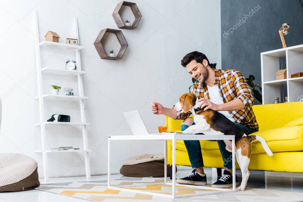 smiling male freelancer working on laptop in living room with dog 