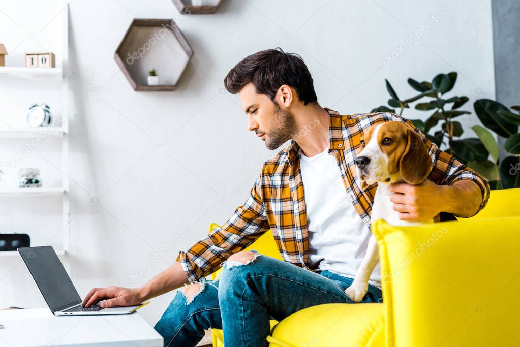 handsome man teleworking on laptop in living room with dog 