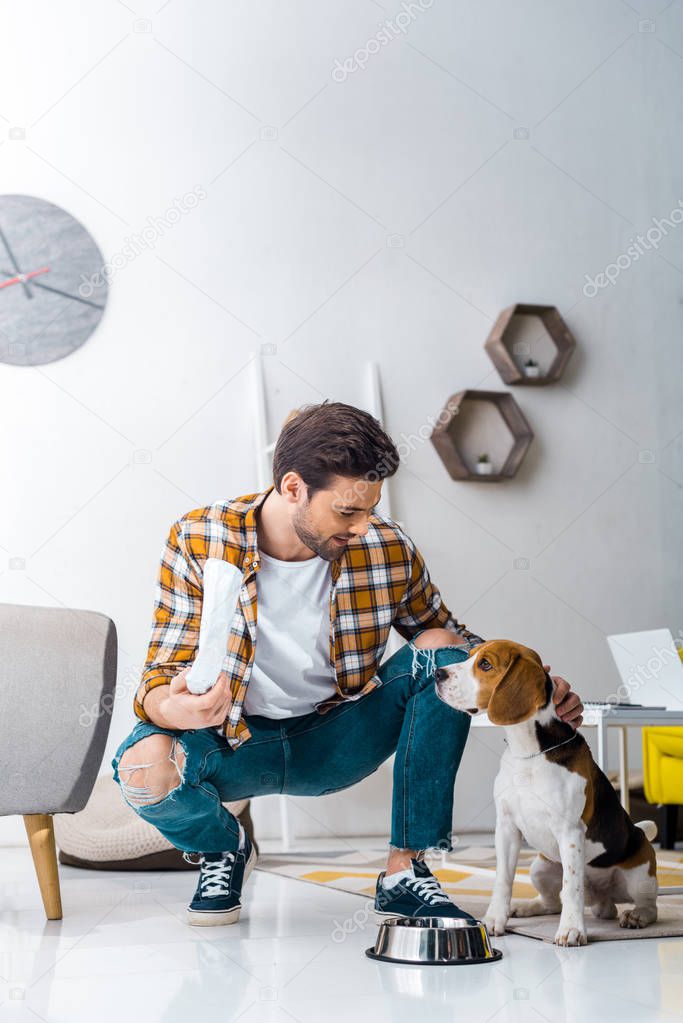 handsome man holding package with dog food and feeding beagle dog at home