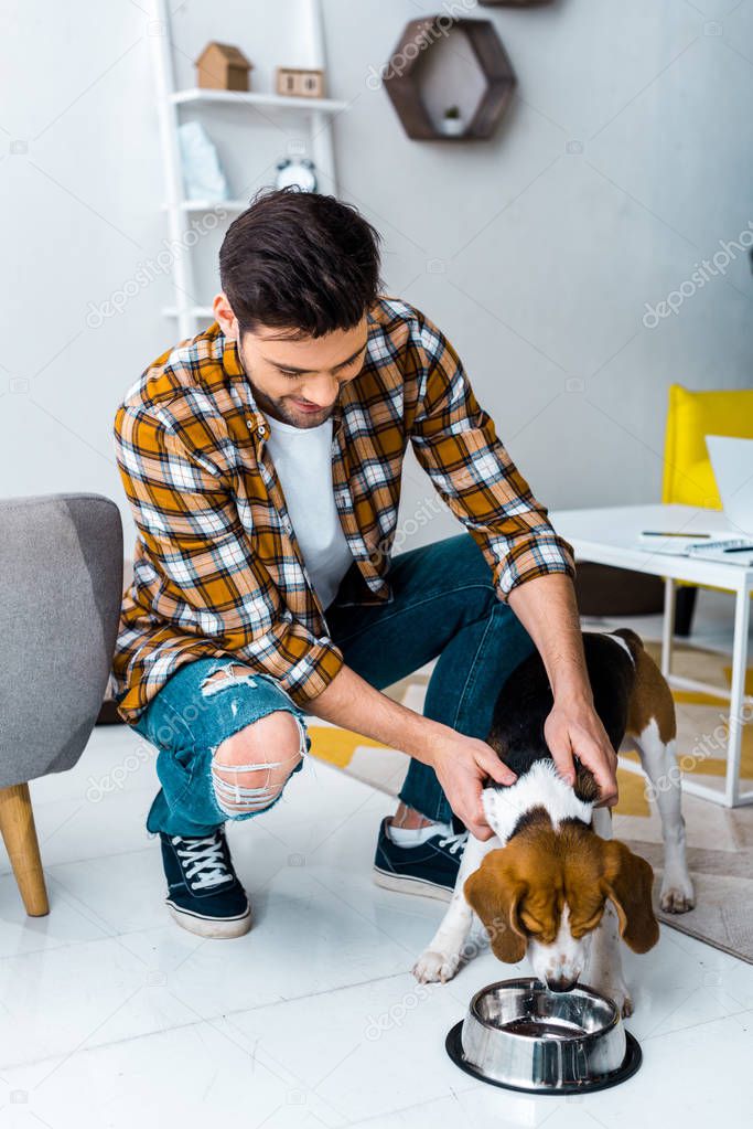 handsome man feeding beagle dog in living room