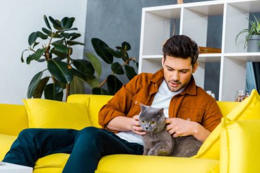yakışıklı delikanlı ile evde koltukta oturan kedi