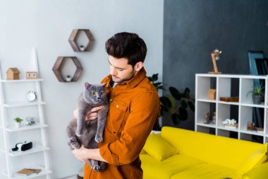 yakışıklı adam holding gri Britanya ile ilgili stenografi kedi