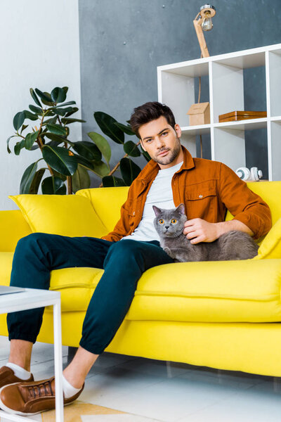 handsome young man with grey furry cat sitting on sofa in living room