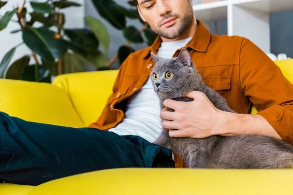 Schöner Mann Mit Grauer Pelziger Katze Sitzt Hause Auf Dem — Stockfoto