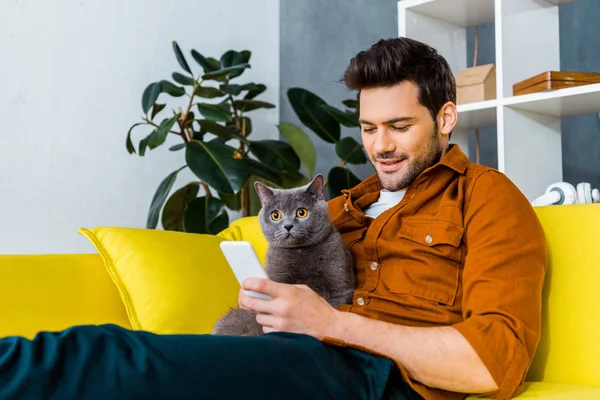 Homem Alegre Usando Smartphone Enquanto Sentado Sofá Com Gato Britânico — Fotografia de Stock