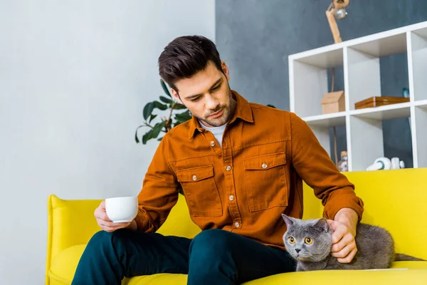 一杯のコーヒーを保持していると猫が付いているソファーに座っているハンサムな男 — ストック写真