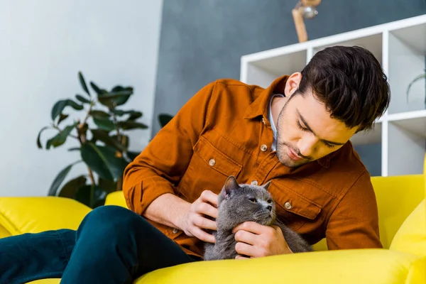 Hombre Guapo Acariciando Lindo Gato Sofá Sala Estar — Foto de Stock