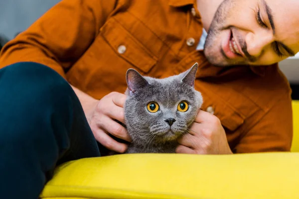 Casual Cheerful Man British Shorthair Cat Home — Stock Photo, Image