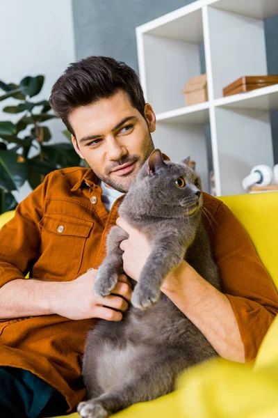 Homem Feliz Com Britânico Gato Shorthair Sentado Sofá Casa — Fotografia de Stock