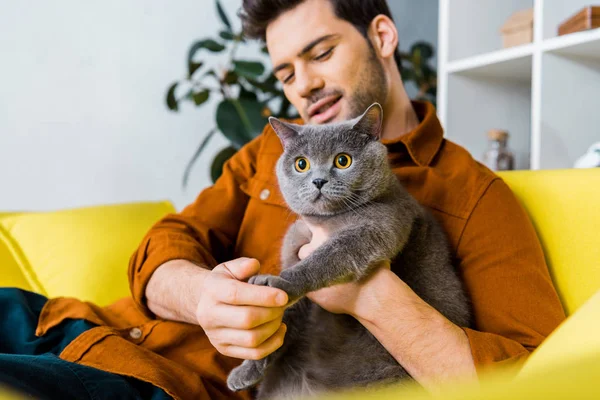 随意微笑的男人与英国速记猫坐在沙发上在家里 — 图库照片