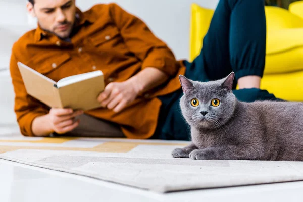 选择性的重点 男人阅读书籍 躺在地板上与英国速记猫 — 图库照片