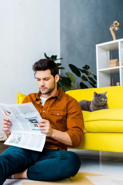 Joven Leyendo Periódico Sentado Cerca Sofá Con Gato — Foto de Stock