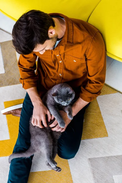 Vista Aérea Del Hombre Sentado Alfombra Con Gato Taquigrafía Británico — Foto de Stock