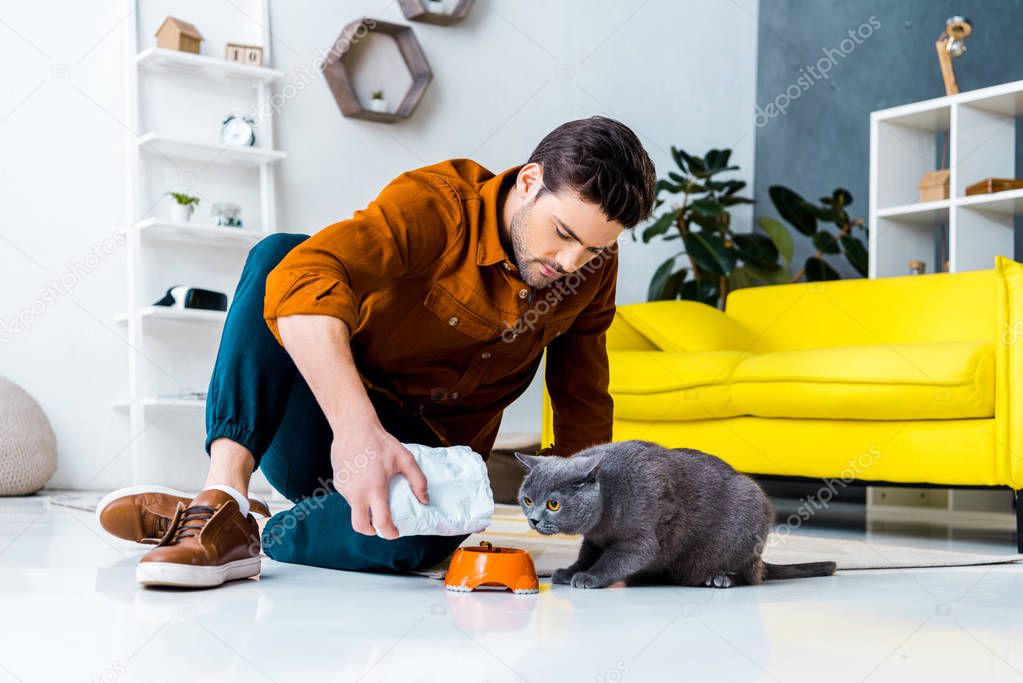 young man feeding grey british shorthair cat in living room