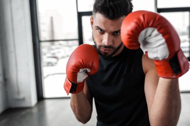 yakışıklı genç sporcu boks eldiven spor salonunda kamera bakıyor