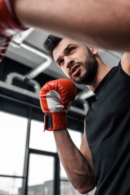 yakışıklı ciddi genç boksör spor salonunda boks düşük açılı görünüş