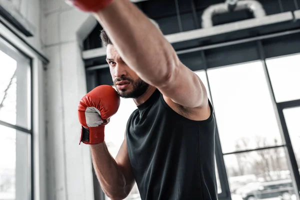 Εστιασμένη Αθλητικός Άνδρας Γάντια Του Μποξ Κατάρτισης Στο Γυμναστήριο — Φωτογραφία Αρχείου